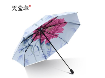 中国雨伞品牌质量最好的排名一览表 口碑最好的十大国产雨伞